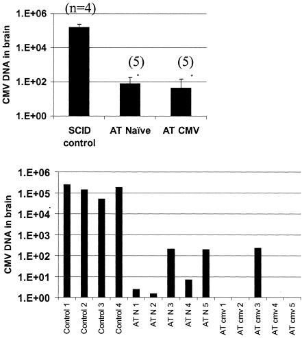 FIG. 8.