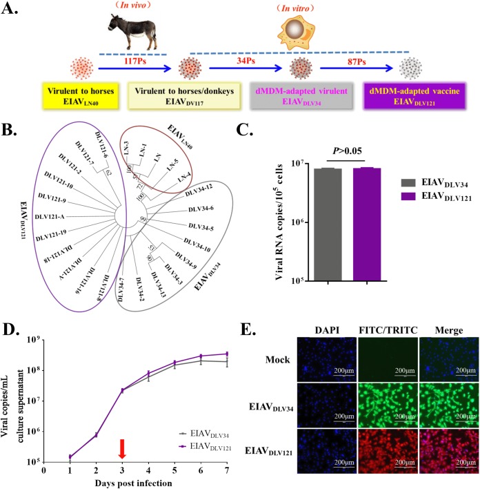 FIG 1