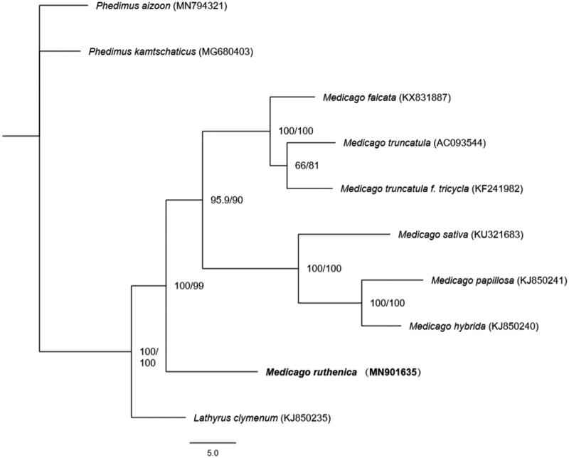 Figure 1.