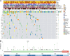 Figure 1. Characteristics and somatic alterations in FH-deficient RCC. A, Oncoplot showing clinicopathologic features, germline and somatic FH alterations, and co-occurring somatic mutations (prevalence > 5%) in patients with FH-deficient RCC (n = 88); B, Lollipop plot showing positions of FH somatic and germline alterations.