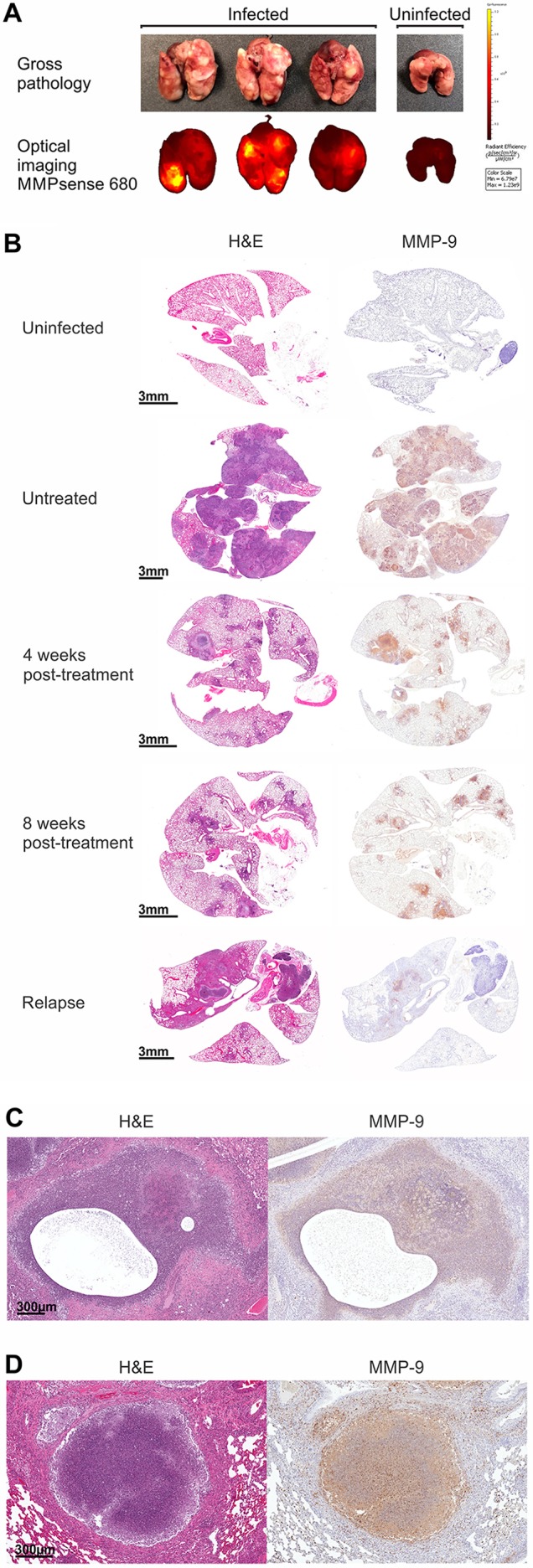 Fig. 4.