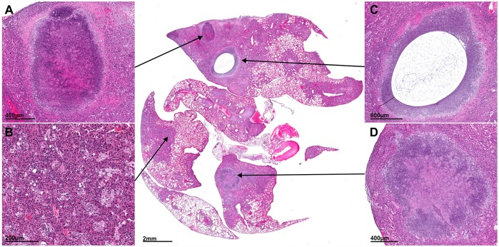 Fig. 3.