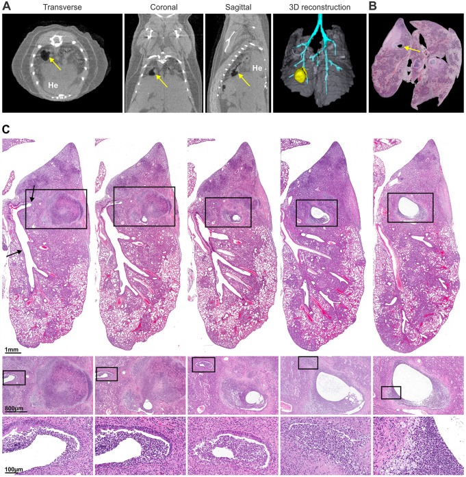 Fig. 2.