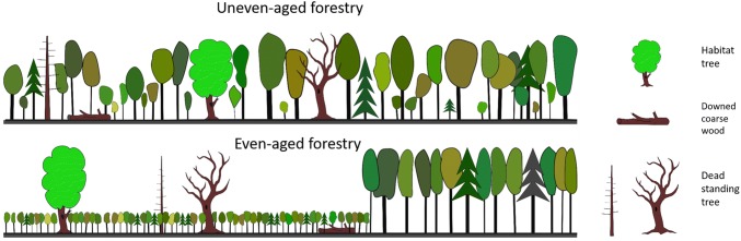 Fig. 3