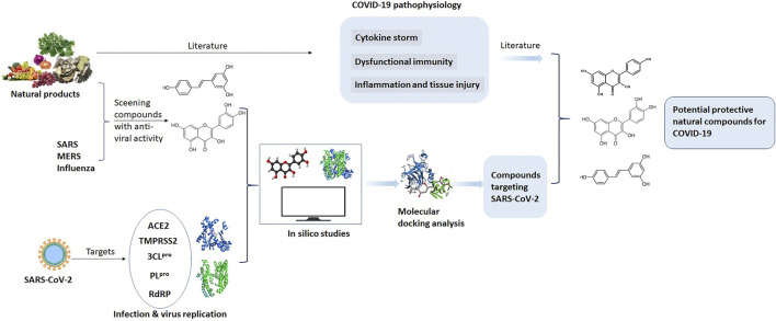 FIGURE 1