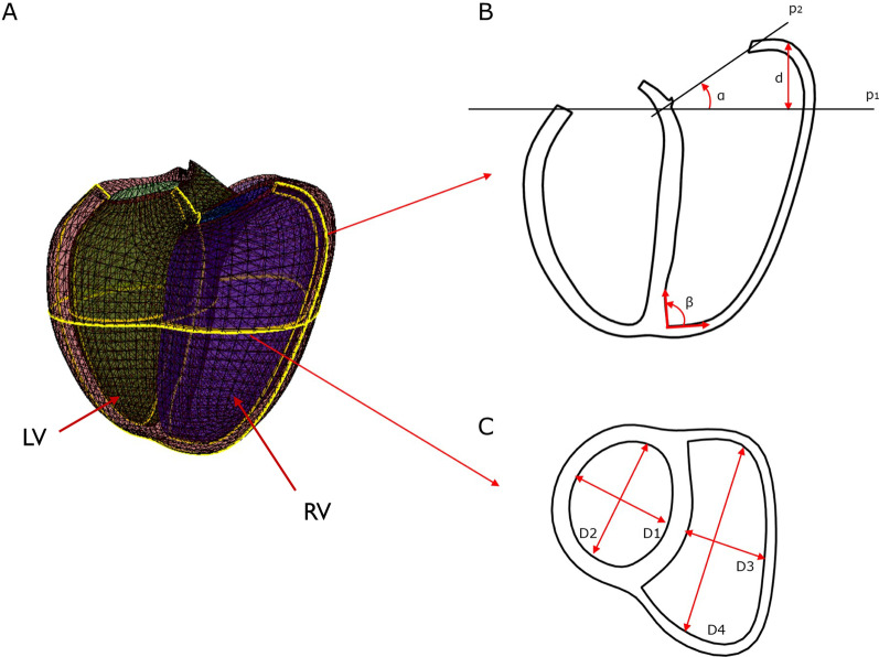 Fig. 2