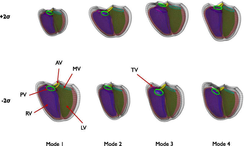 Fig. 3