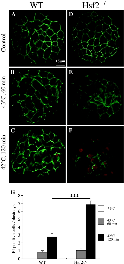 Fig. 6