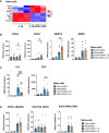 Figure 6