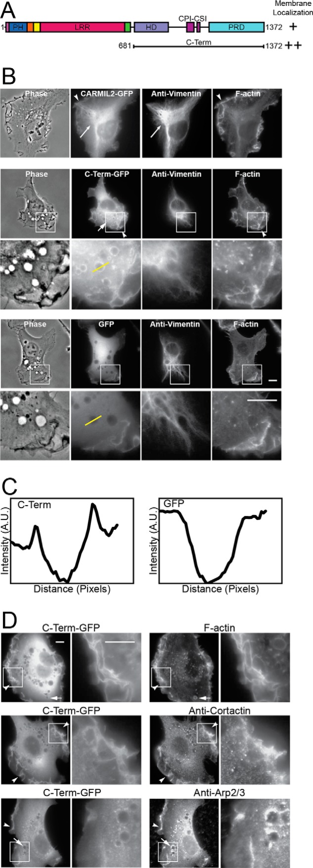 FIGURE 1.