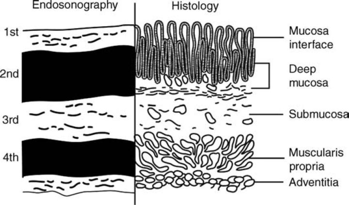 Fig 1.