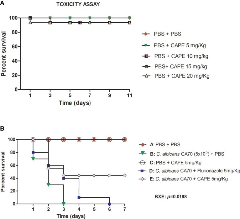 Figure 4