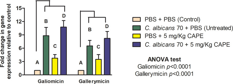 Figure 7