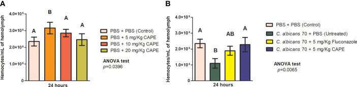 Figure 5