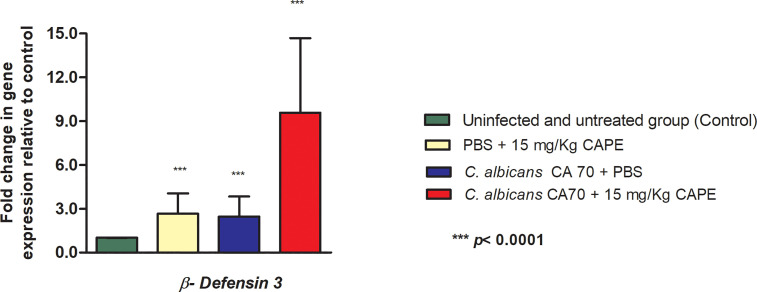 Figure 12