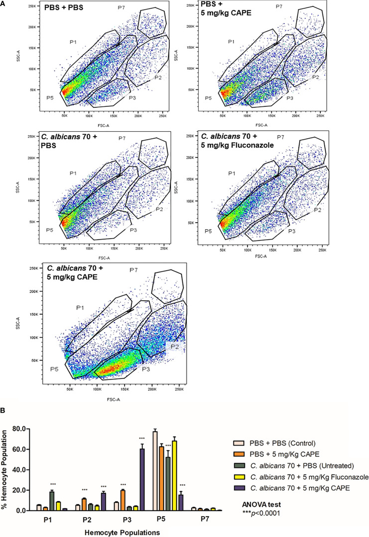 Figure 6