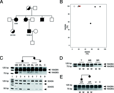 Figure  2. 