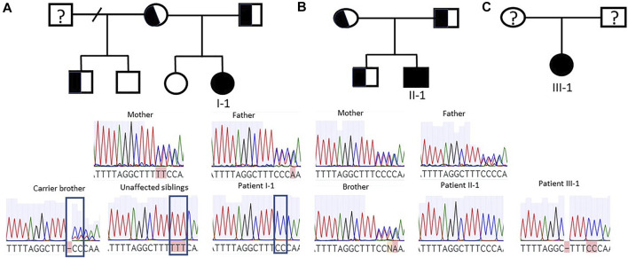 FIGURE 1