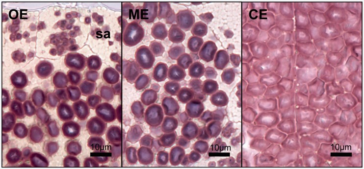 Fig.
3.