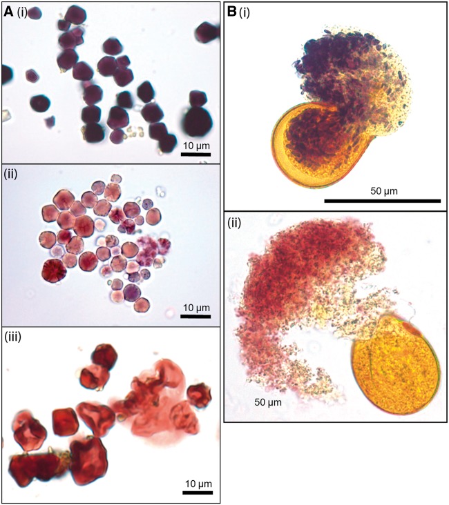 Fig.
1.