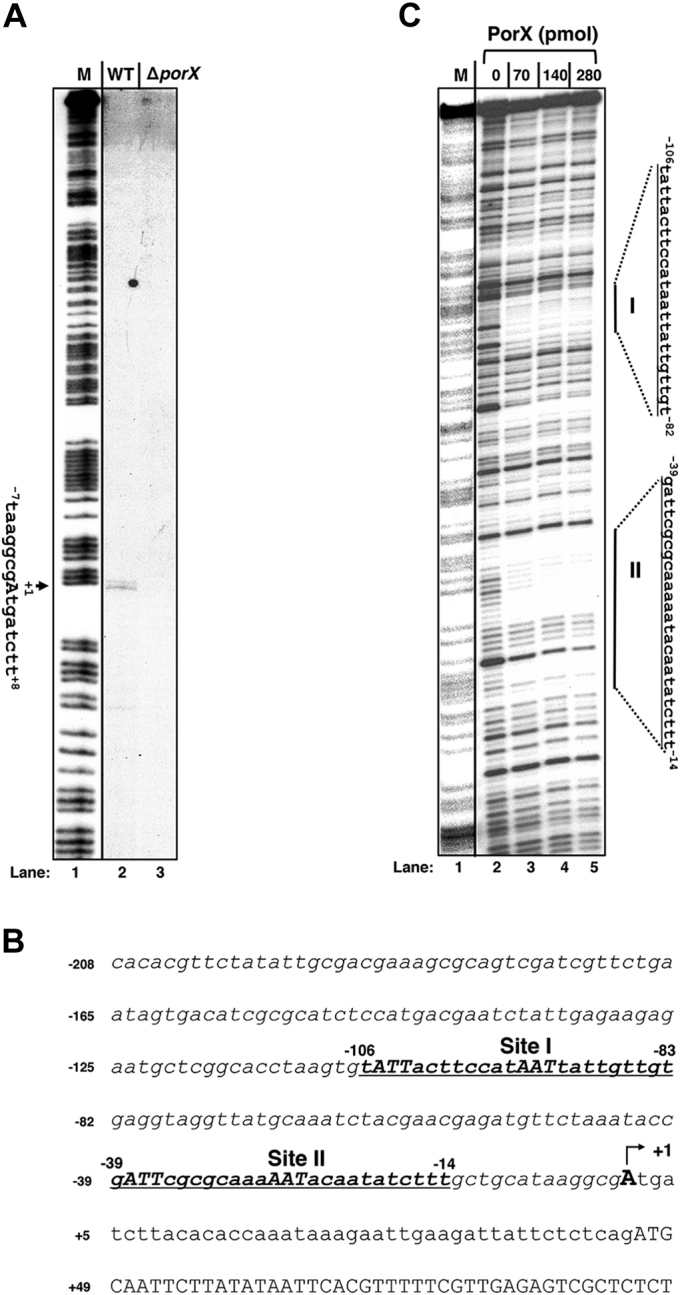 Figure 5