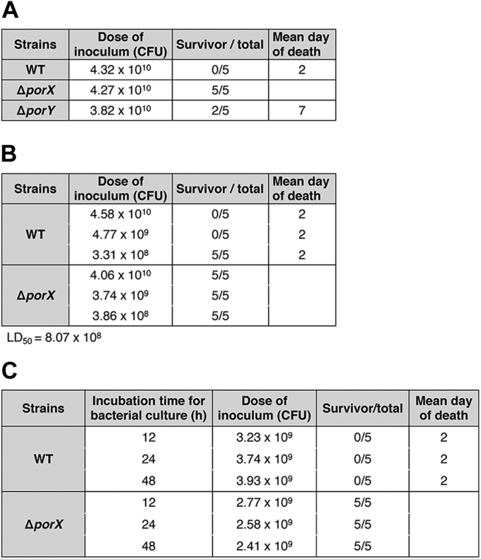 Figure 6