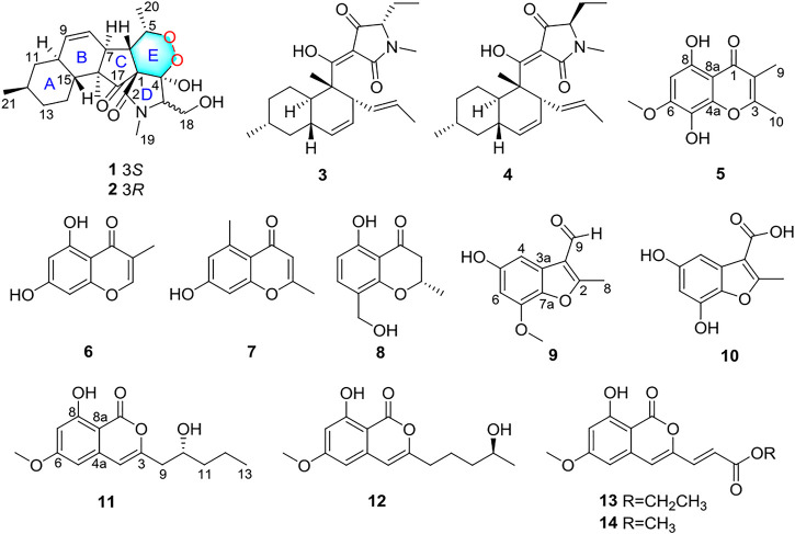FIGURE 1