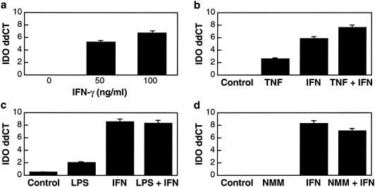 FIG. 1.