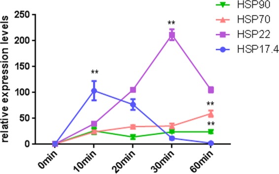 FIG 3