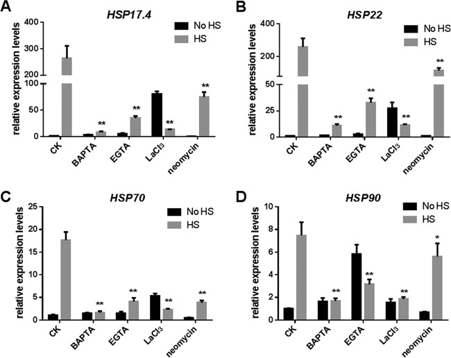 FIG 6