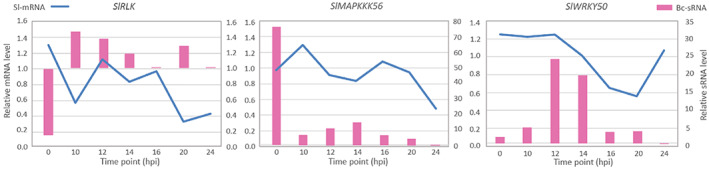 FIGURE 4