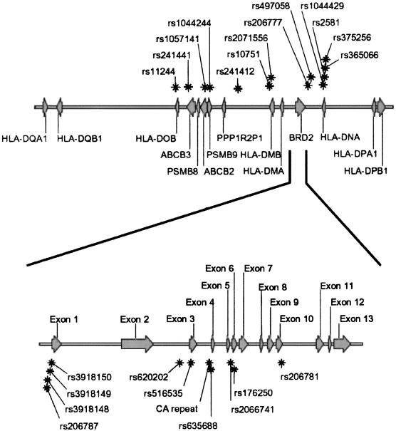 Figure  1