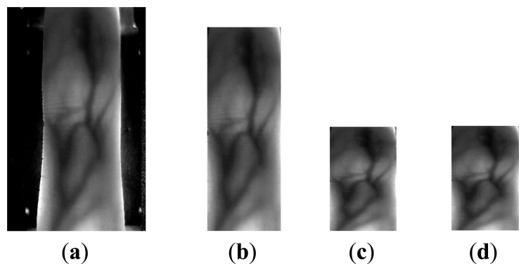 Figure 5.