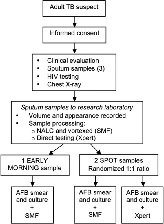 FIG 1