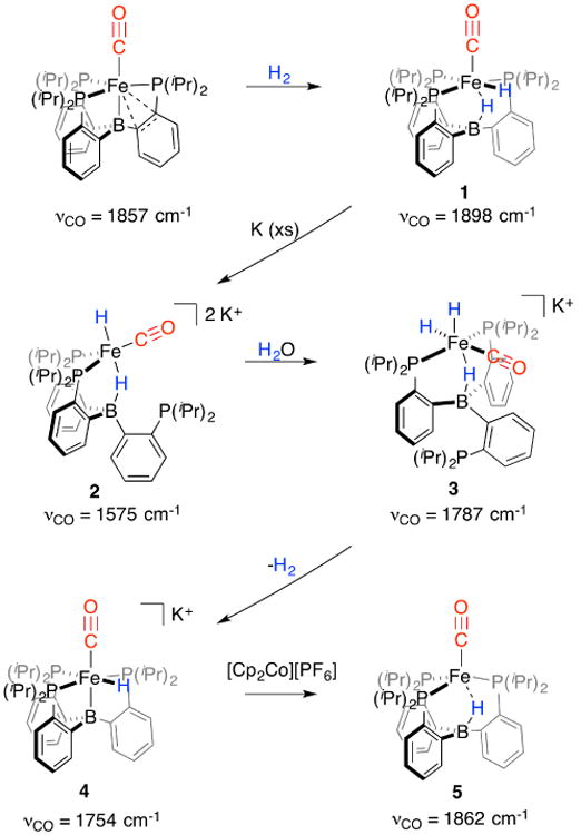 Scheme 1