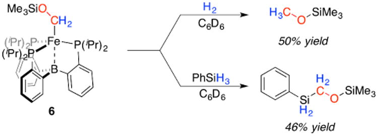 Scheme 3