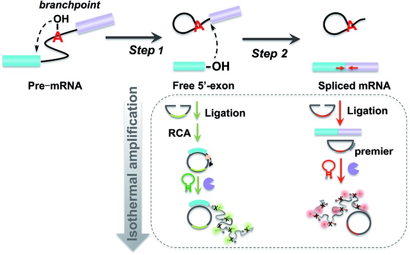 graphic file with name c7sc01336a-ga.jpg