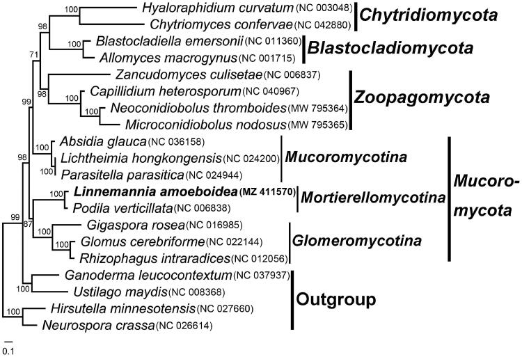 Figure 1.