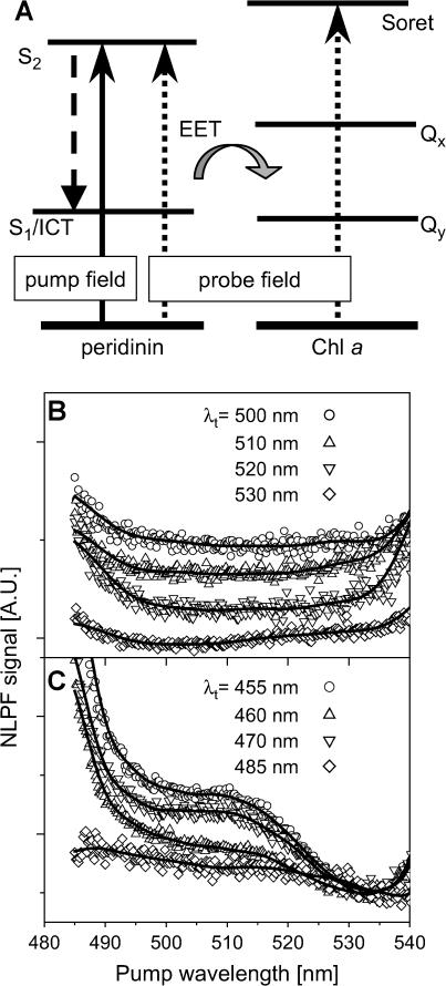 FIGURE 3