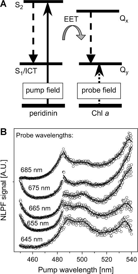 FIGURE 4