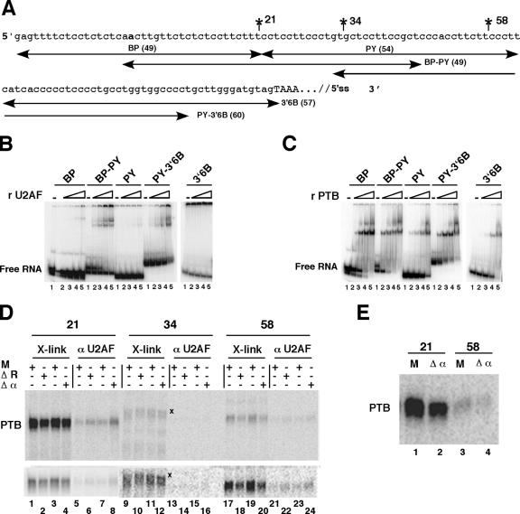 FIG. 8.