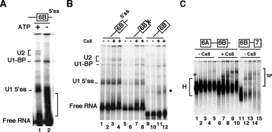 FIG. 6.