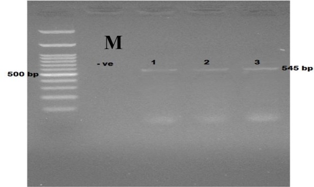 Fig. 3: