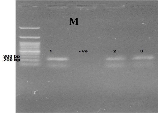 Fig. 2: