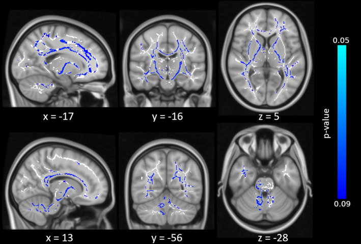 FIGURE 7