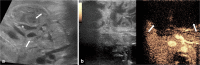 Fig. 9