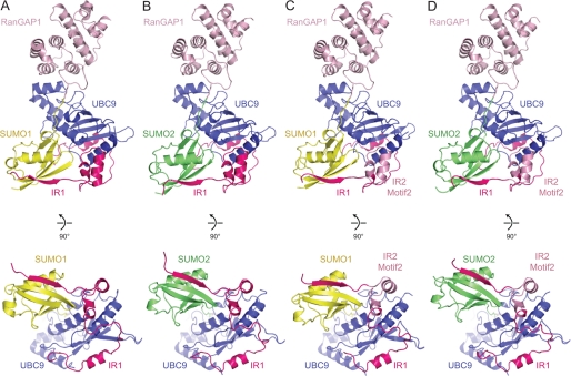 FIGURE 4.