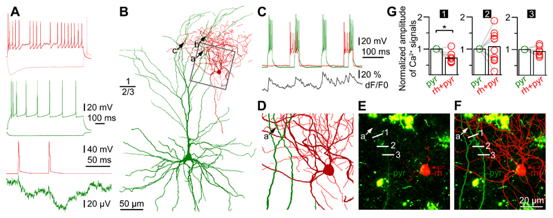 Figure 6