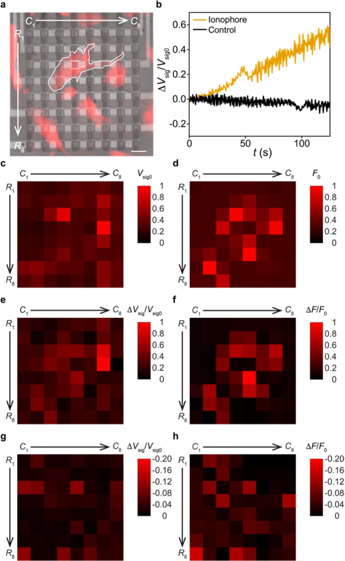 Figure 4