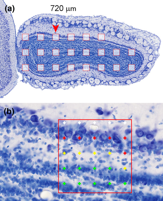 FIGURE 16